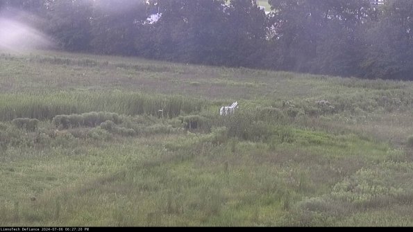 Cell 2 to 3_24-07-06_18-27-20-49