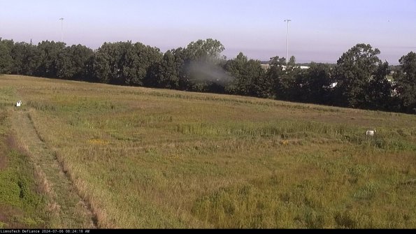 Cell 2_24-07-06_08-24-20-37