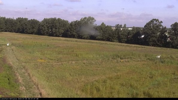 Cell 2_24-07-06_08-57-48-36