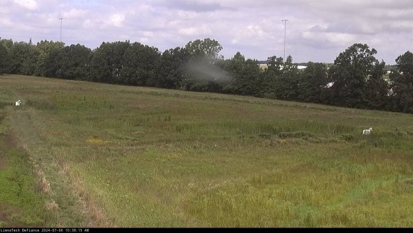 Cell 2_24-07-06_10-38-16-36