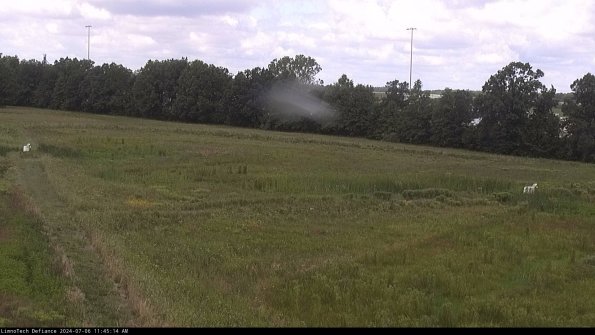 Cell 2_24-07-06_11-45-15-40