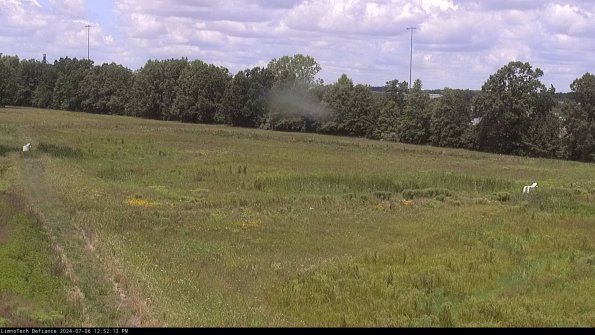 Cell 2_24-07-06_12-52-14-34