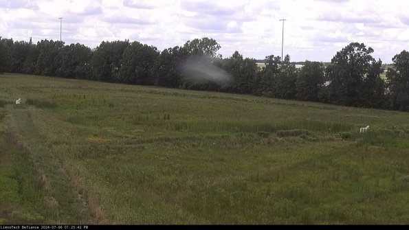 Cell 2_24-07-06_13-25-43-43