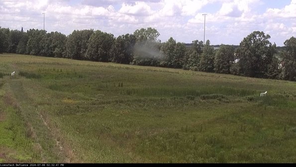 Cell 2_24-07-06_14-32-42-33