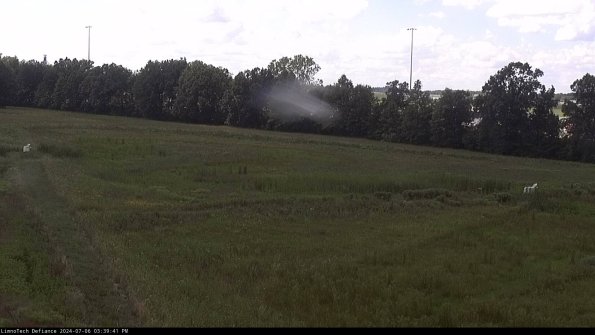 Cell 2_24-07-06_15-39-42-41