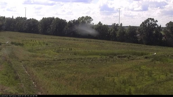 Cell 2_24-07-06_17-20-09-37