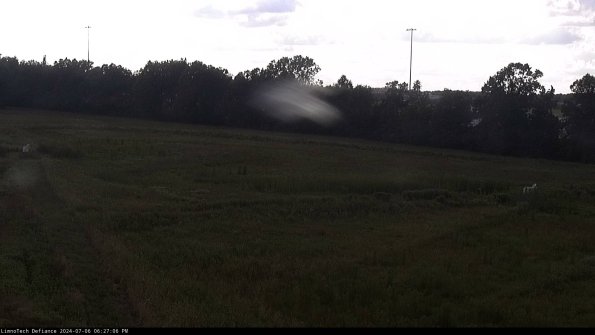 Cell 2_24-07-06_18-27-07-41