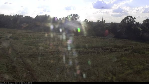 Cell 2_24-07-06_19-34-05-41