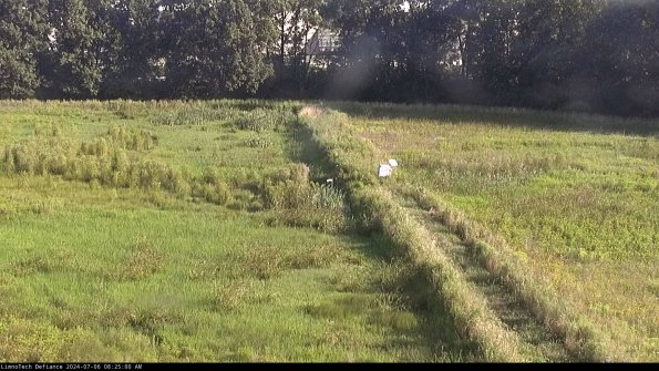 Cell 3 to 4_24-07-06_08-25-01-35