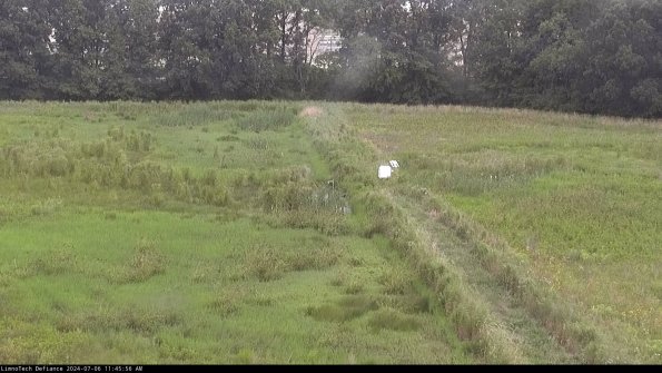 Cell 3 to 4_24-07-06_11-45-57-34