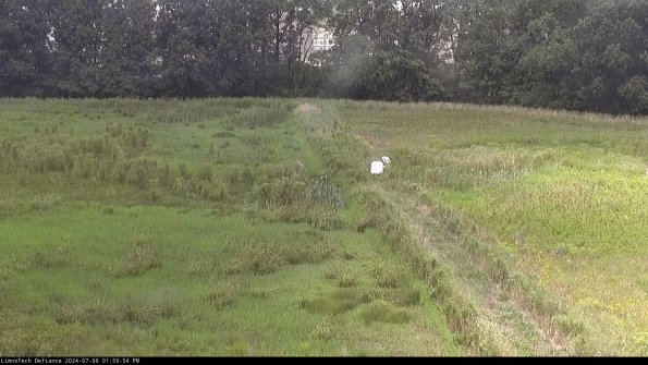 Cell 3 to 4_24-07-06_13-59-55-36