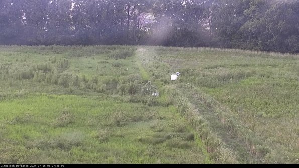 Cell 3 to 4_24-07-06_18-27-49-31