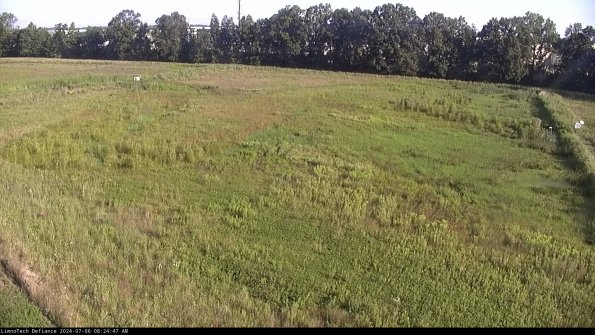 Cell 3_24-07-06_08-24-47-60