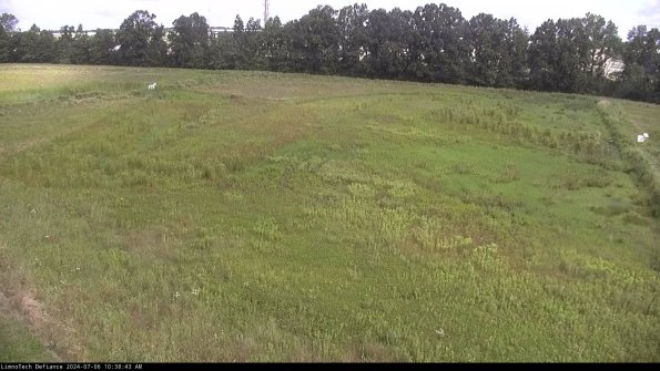 Cell 3_24-07-06_10-38-44-35