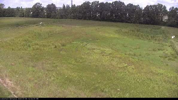 Cell 3_24-07-06_12-52-42-34