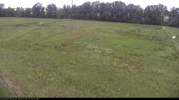 Cell 3_24-07-06_13-26-11-32