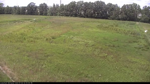 Cell 3_24-07-06_14-33-09-56