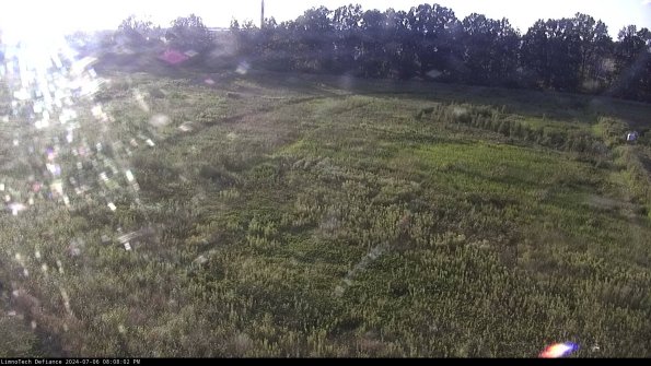 Cell 3_24-07-06_20-08-03-32