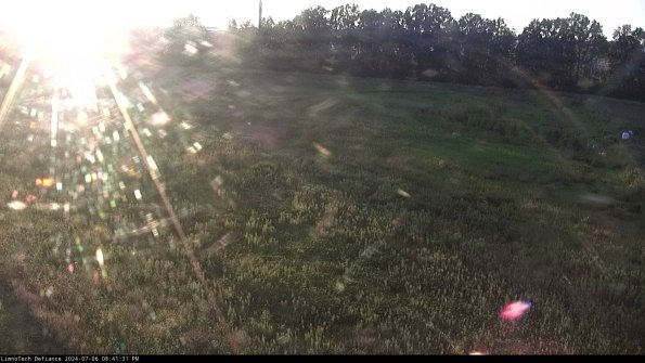 Cell 3_24-07-06_20-41-32-35