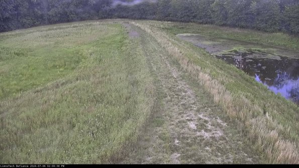 Cell 4 to Basin_24-07-06_14-00-39-33