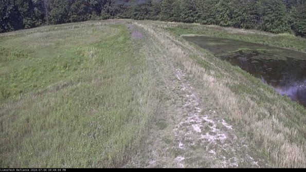 Cell 4 to Basin_24-07-06_16-48-05-37