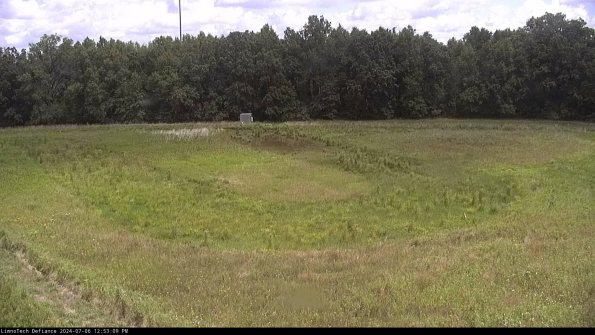 Cell 4_24-07-06_12-53-10-33