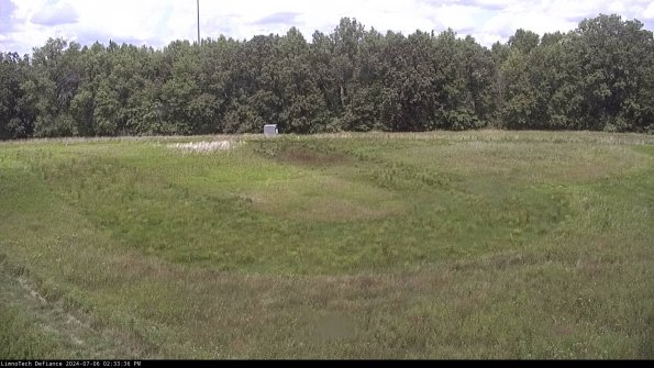 Cell 4_24-07-06_14-33-37-32