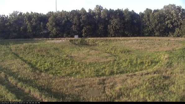 Cell 4_24-07-06_20-08-31-35