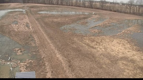 defiance22-03-21_14-59-59-62