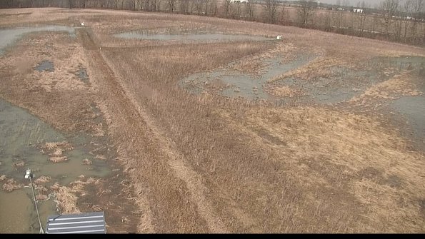 defiance22-03-23_11-59-59-82