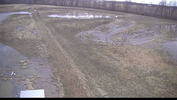 defiance22-03-26_08-00-00-00