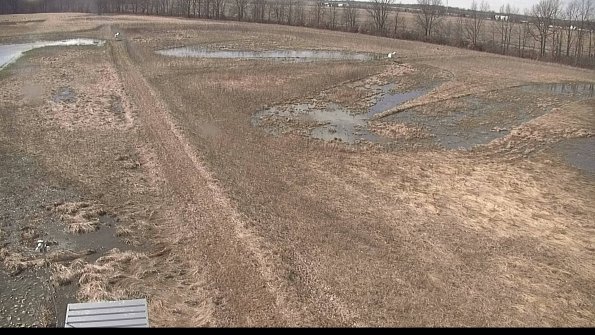 defiance22-03-28_15-59-59-45