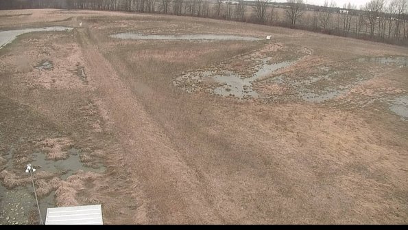 defiance22-03-31_12-59-59-65