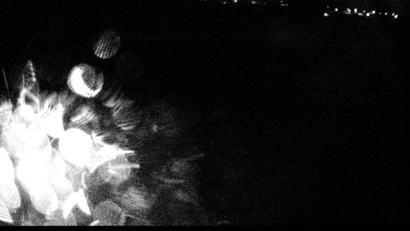 defiance22-03-31_20-59-59-28