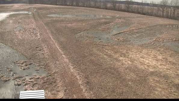 defiance22-04-04_16-59-59-59