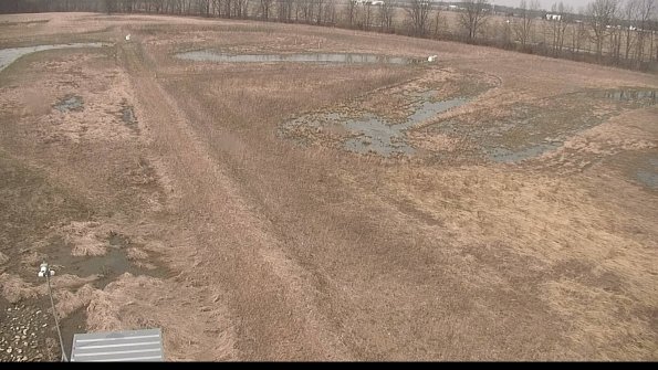 defiance22-04-05_12-59-59-55