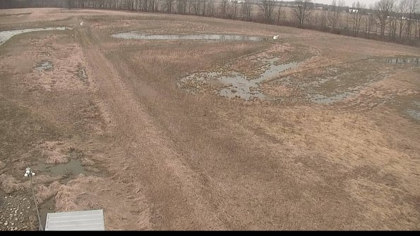 defiance22-04-05_13-59-59-73