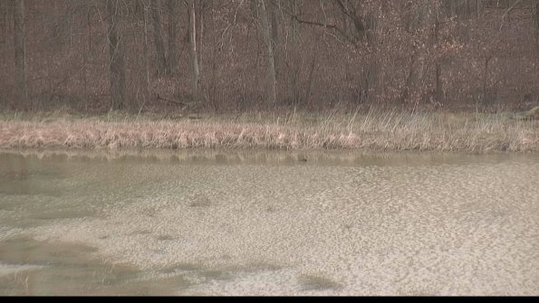 defiance22-04-07_08-59-59-68