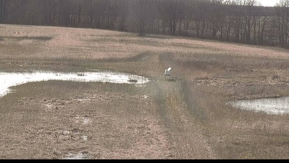 defiance22-04-10_16-59-59-51