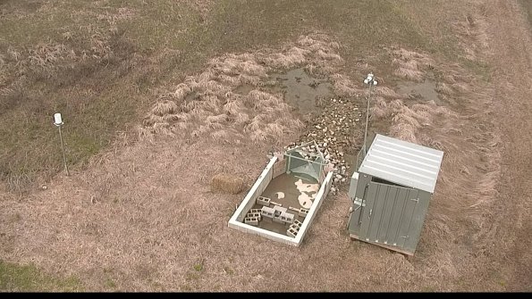 defiance22-04-21_11-59-59-68