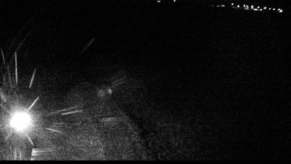 defiance22-04-24_00-59-59-19