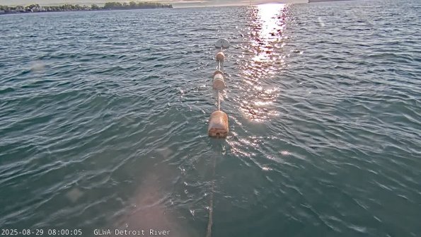 detroitAug292025_ 8hh03mm00ss