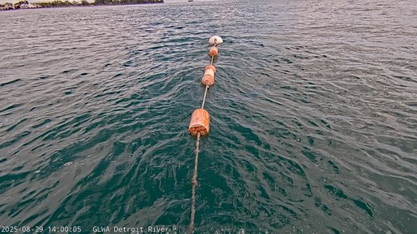 detroitAug292025_14hh03mm00ss