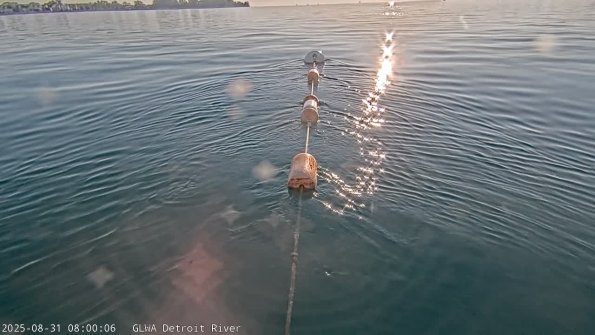 detroitAug312025_ 8hh03mm01ss