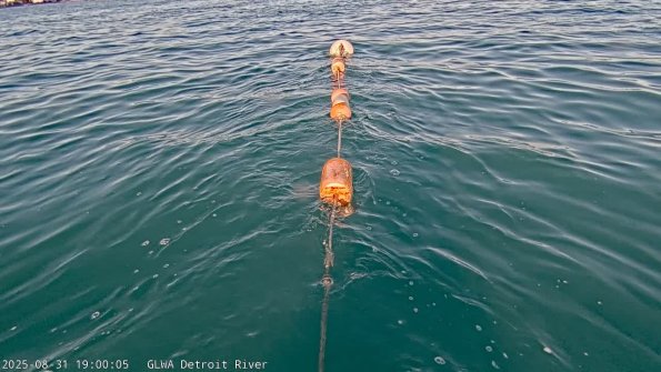 detroitAug312025_19hh03mm01ss