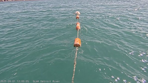 detroitSep012025_12hh03mm00ss