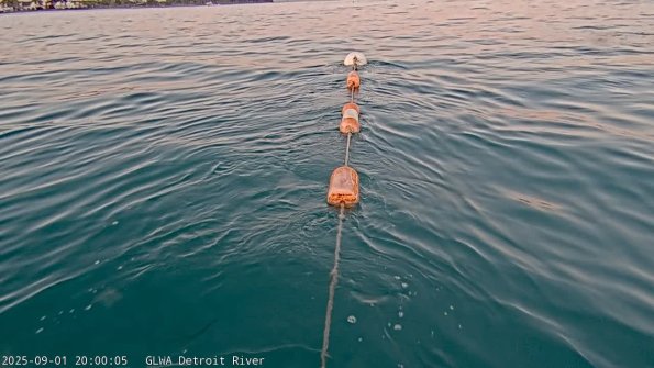 detroitSep012025_20hh03mm01ss