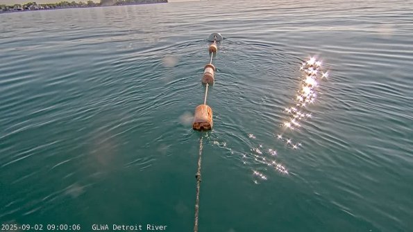 detroitSep022025_ 9hh03mm01ss