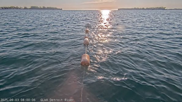 detroitSep032025_ 8hh03mm01ss