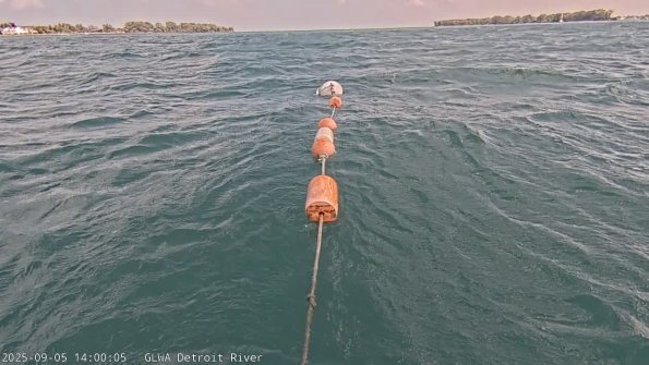 detroitSep052025_14hh03mm01ss